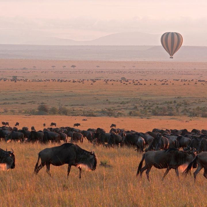 Safari privado en globo sobre el Maasai Mara