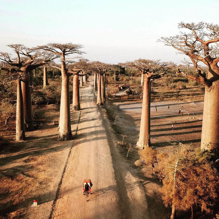 Madagascar: Diseña tu próxima aventura