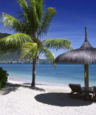 Playa paradisíaca con una palmera y tumbonas. Embárcate en un viaje de ensueño a Mauricio y descubre playas paradisíacas y exuberante belleza.