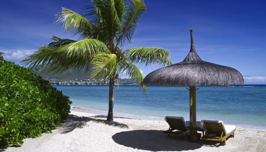 Playa paradisíaca con una palmera y tumbonas. Embárcate en un viaje de ensueño a Mauricio y descubre playas paradisíacas y exuberante belleza.
