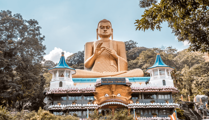 Tour Jardín del Edén + Minneriya + Yala