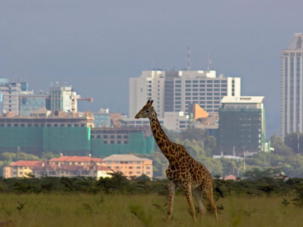 Día 1 - Nairobi
