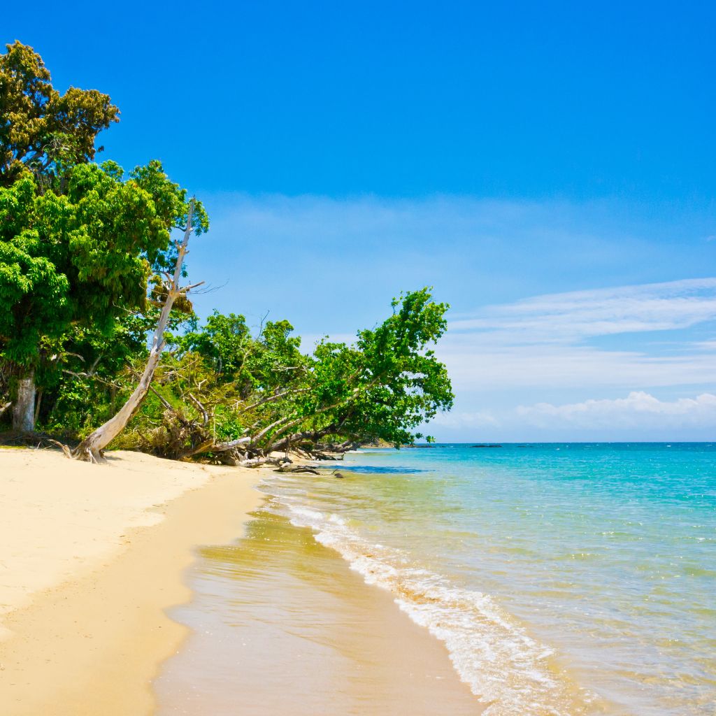 Orilla Playa Madagascar