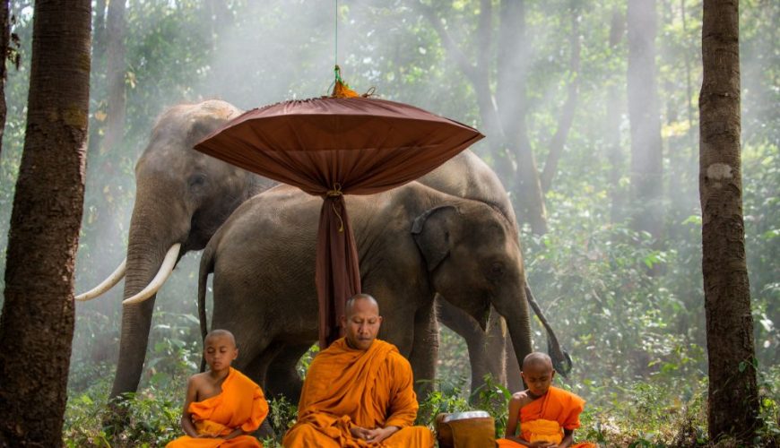 Tailandia: 5 razones para ir en tus próximas vacaciones