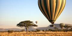 Slide 3 Safaris
